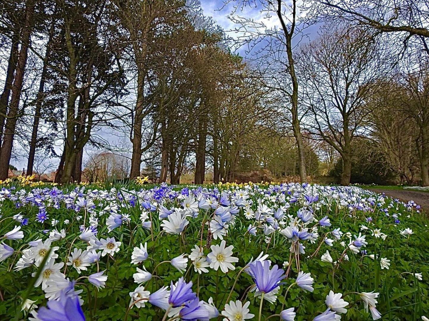Thornton Manor - Holiday Cottages And Apartments Heswall Ruang foto