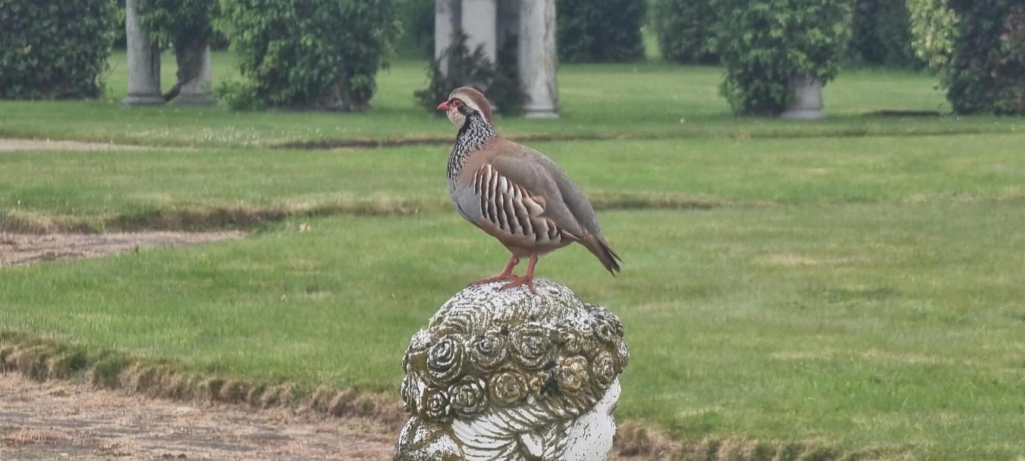 Thornton Manor - Holiday Cottages And Apartments Heswall Ruang foto